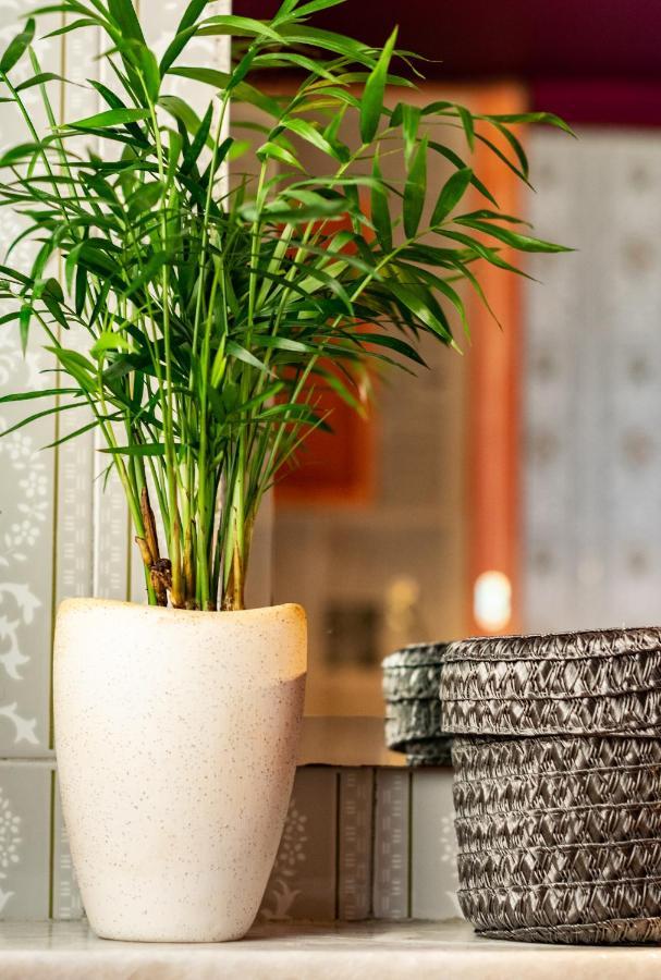 Athina Design - Boutique Guesthouse Αθήνα Εξωτερικό φωτογραφία