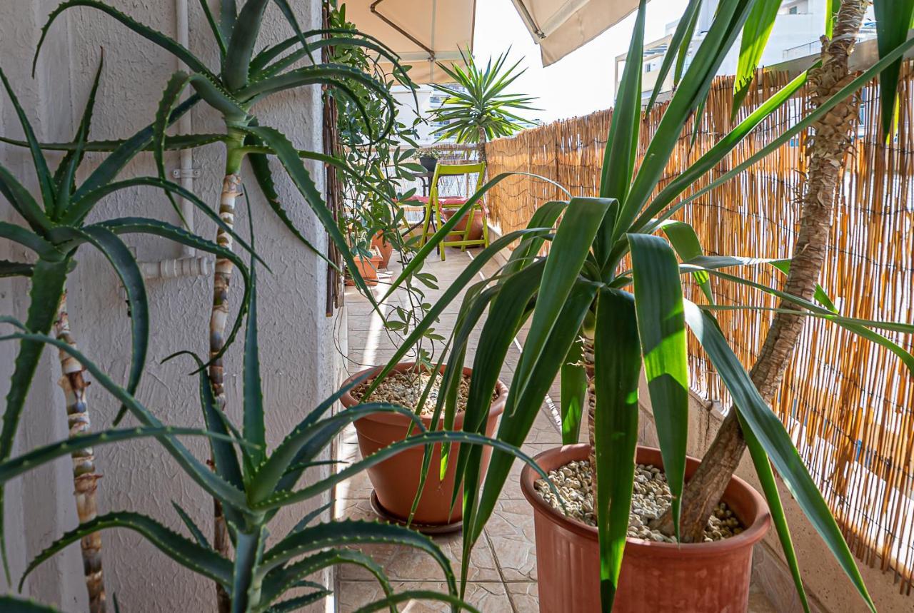 Athina Design - Boutique Guesthouse Αθήνα Εξωτερικό φωτογραφία